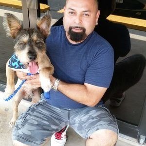 Meet your Posher, Louis